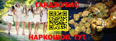 гидра Кингисепп