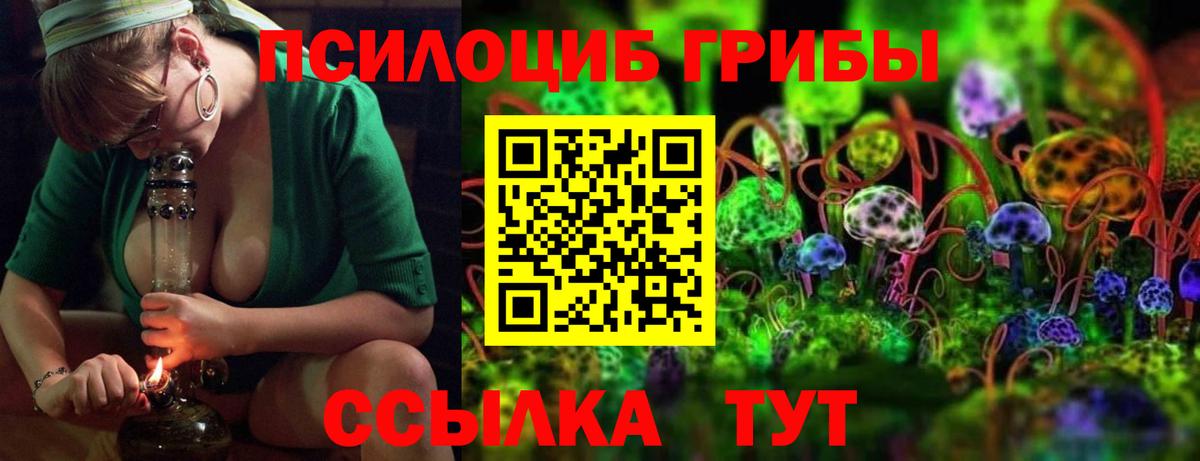 Псилоцибиновые грибы Psilocybine cubensis  Вход с VPN  Щёлково 