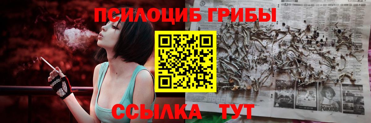 Галлюциногенные грибы мухоморы Щёлково